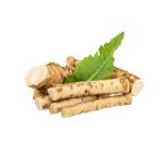 Fresh Organic Ginger Medium Size